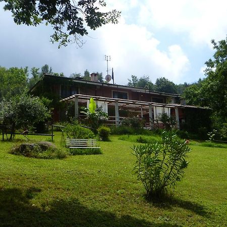 Fattoria Sequoia Bed and Breakfast Castagneto Po Exterior foto