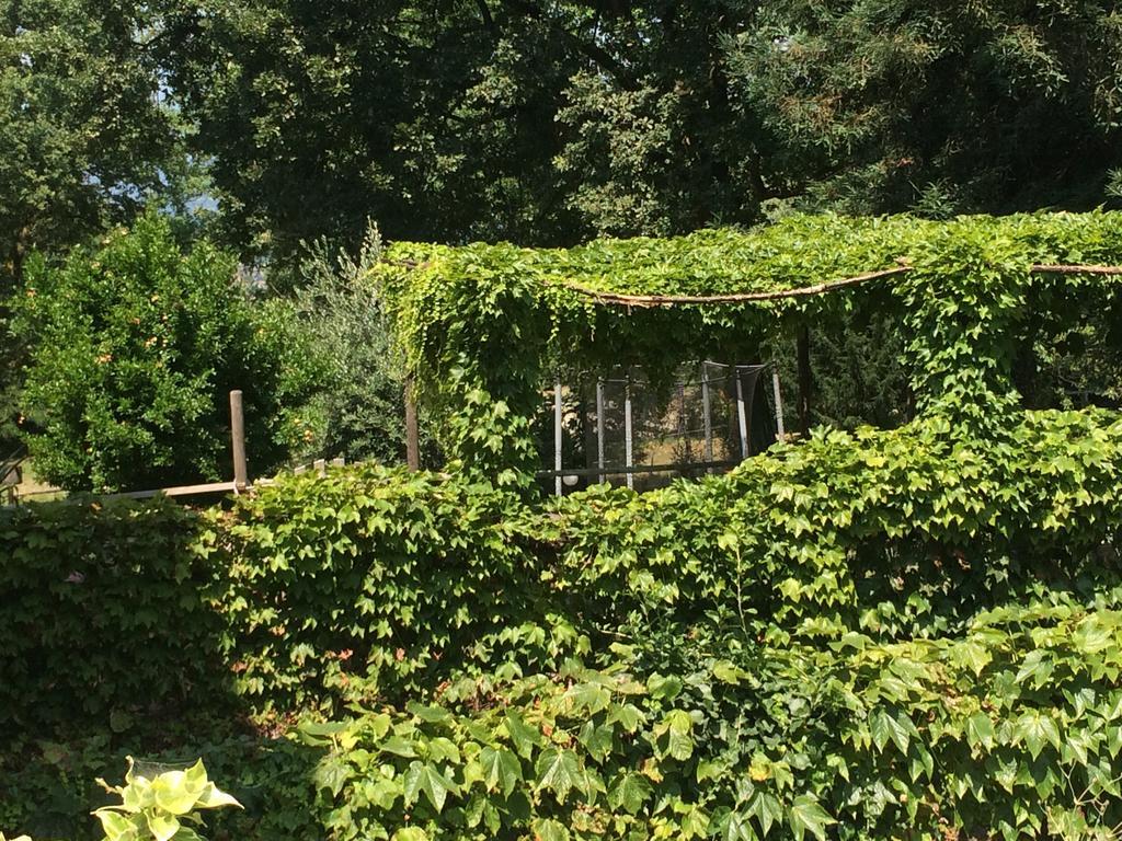 Fattoria Sequoia Bed and Breakfast Castagneto Po Exterior foto
