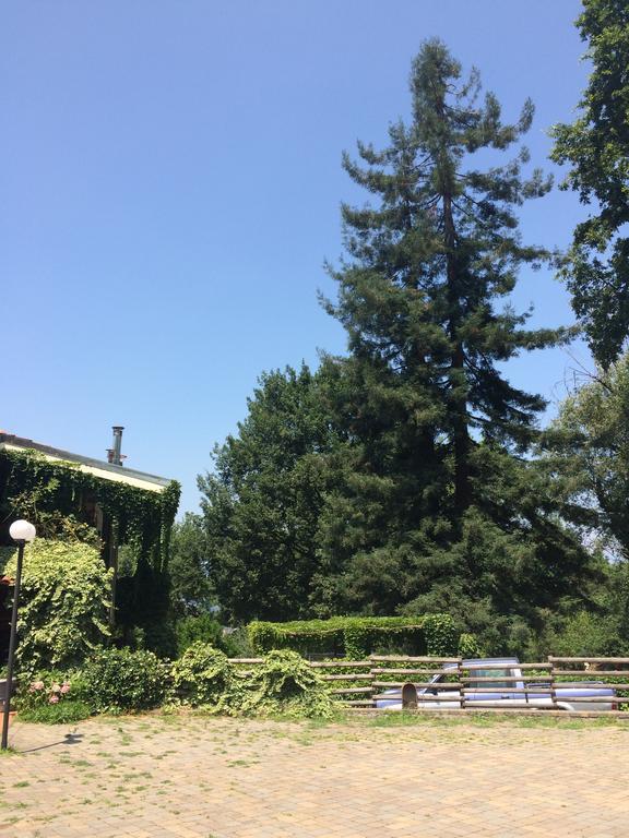 Fattoria Sequoia Bed and Breakfast Castagneto Po Exterior foto